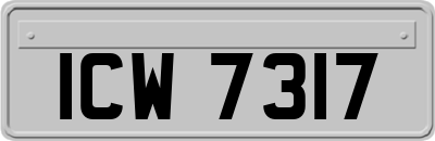 ICW7317