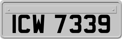 ICW7339