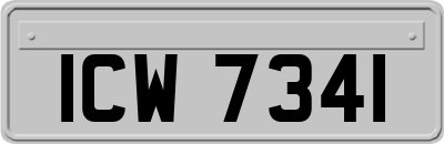 ICW7341