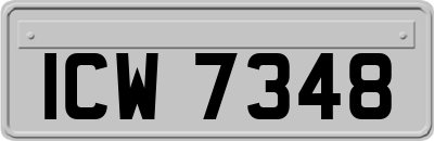 ICW7348