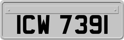 ICW7391