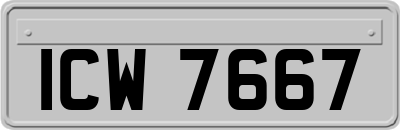 ICW7667