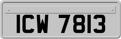 ICW7813
