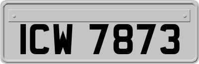 ICW7873