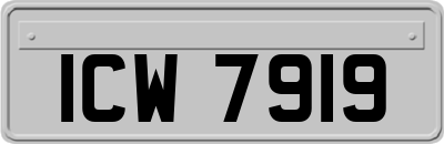 ICW7919