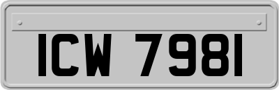 ICW7981