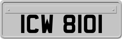 ICW8101