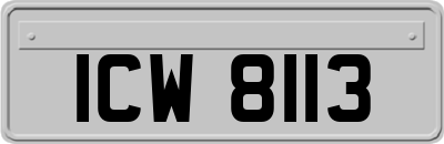 ICW8113
