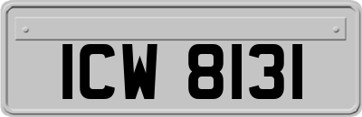 ICW8131