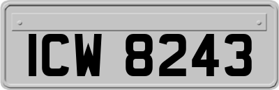 ICW8243