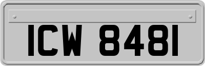 ICW8481