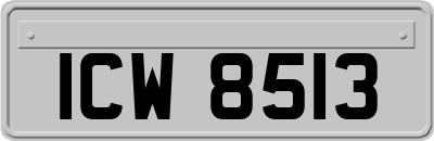 ICW8513