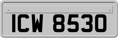 ICW8530