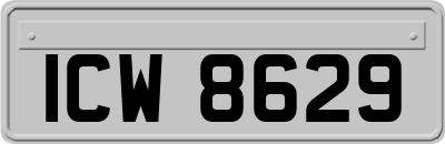 ICW8629