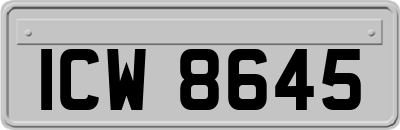 ICW8645