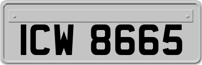 ICW8665