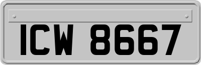ICW8667
