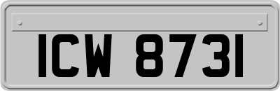 ICW8731