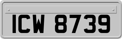 ICW8739