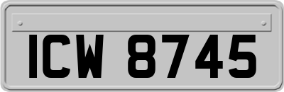 ICW8745