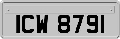 ICW8791