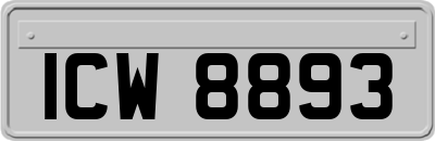 ICW8893