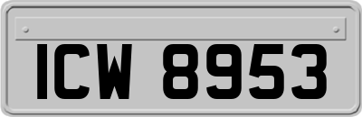 ICW8953