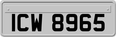 ICW8965