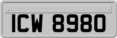 ICW8980