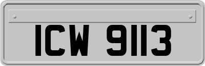 ICW9113