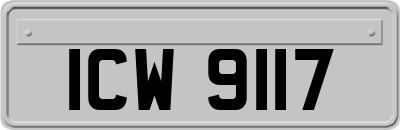 ICW9117