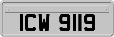 ICW9119
