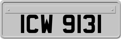 ICW9131