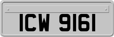 ICW9161