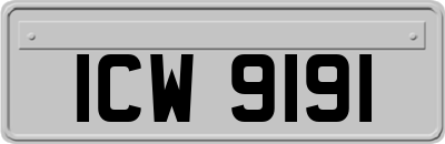 ICW9191