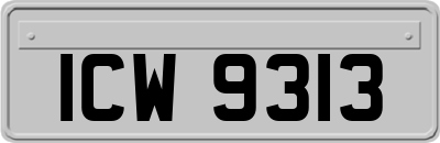 ICW9313