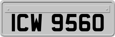 ICW9560
