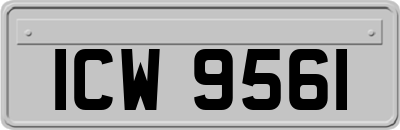 ICW9561