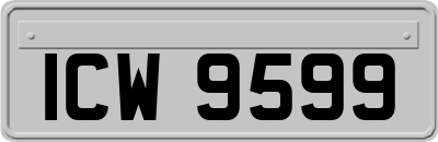 ICW9599