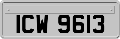 ICW9613
