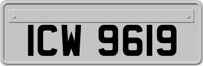 ICW9619