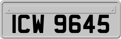 ICW9645