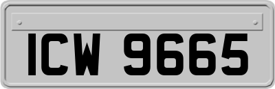ICW9665