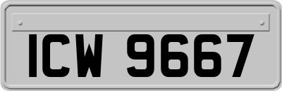 ICW9667
