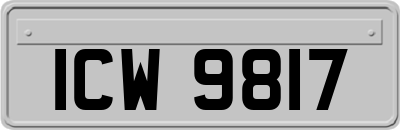 ICW9817