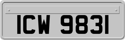 ICW9831