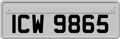 ICW9865