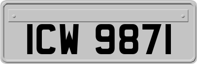 ICW9871