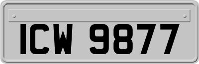 ICW9877