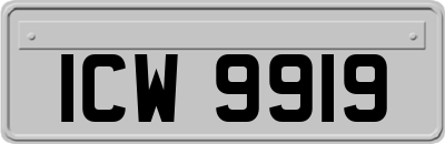 ICW9919